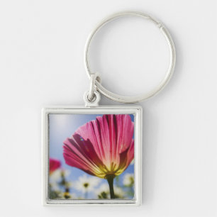 USA, Oregon, Willamette Valley, Close UP of Key Ring