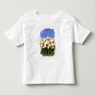 USA, Oregon, Willamette Valley. Daffodils grow Toddler T-Shirt