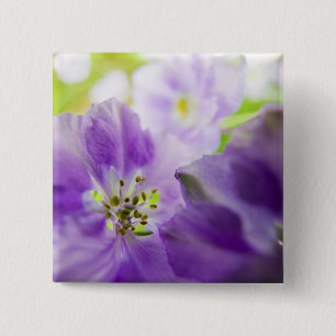 USA, Oregon, Willamette Valley, Larkspur Close 15 Cm Square Badge