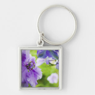 USA, Oregon, Willamette Valley, Larkspur Close 2 Key Ring