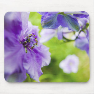 USA, Oregon, Willamette Valley, Larkspur Close 2 Mouse Pad