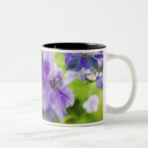 USA, Oregon, Willamette Valley, Larkspur Close 2 Two-Tone Coffee Mug