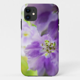 USA, Oregon, Willamette Valley, Larkspur Close iPhone 11 Case