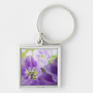 USA, Oregon, Willamette Valley, Larkspur Close Key Ring