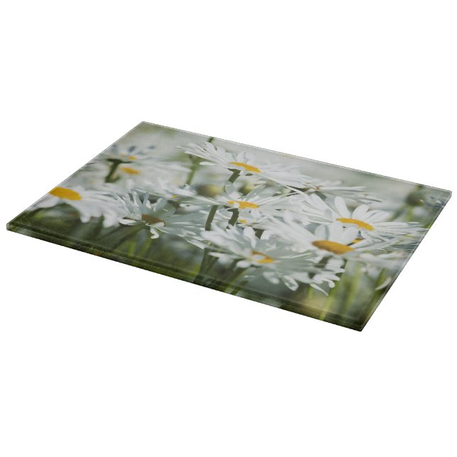 USA, Oregon, Willamette Valley, Selective Cutting Board (Corner)