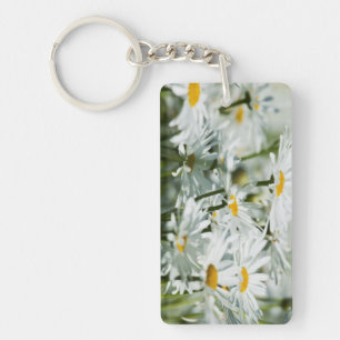 USA, Oregon, Willamette Valley, Selective Key Ring