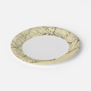 USA outline Paper Plate