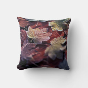 USA, Pacific Northwest. Japanese maple leaves Cushion