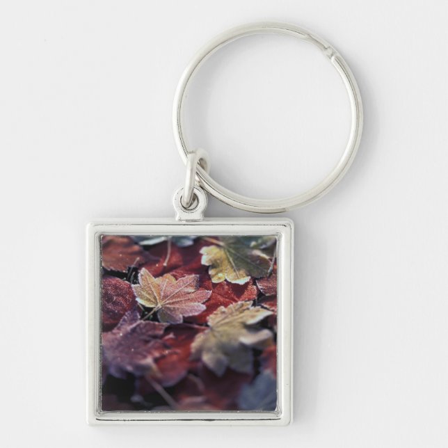 USA, Pacific Northwest. Japanese maple leaves Key Ring (Front)