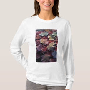 USA, Pacific Northwest. Japanese maple leaves T-Shirt