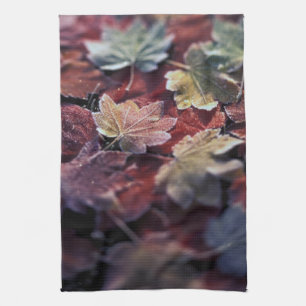 USA, Pacific Northwest. Japanese maple leaves Tea Towel