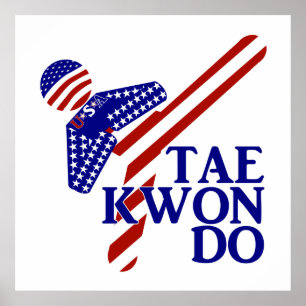 USA Patriotic Martial Arts TAEKWONDO  Poster