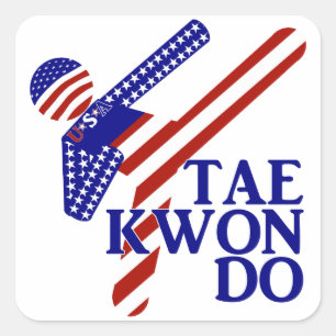 USA Patriotic Martial Arts TAEKWONDO  Square Sticker