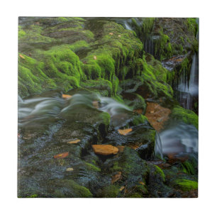 USA, Pennsylvania, Benton, Ricketts Glen State Ceramic Tile
