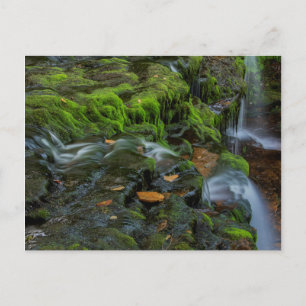 USA, Pennsylvania, Benton, Ricketts Glen State Postcard