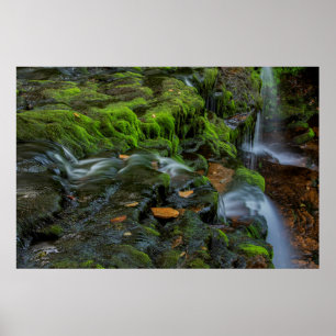 USA, Pennsylvania, Benton, Ricketts Glen State Poster