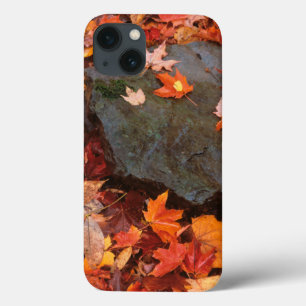 USA, Pennsylvania. Close-Up Of Forest Floor iPhone 13 Case