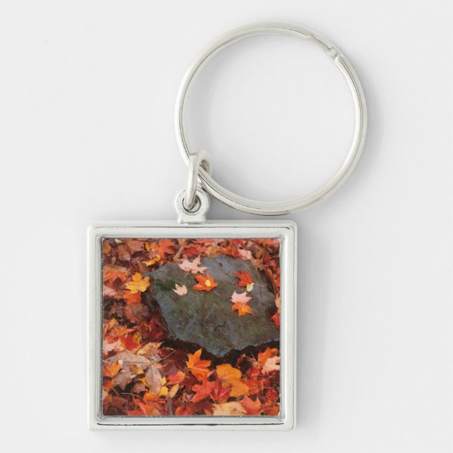 USA, Pennsylvania. Close-Up Of Forest Floor Key Ring (Front)