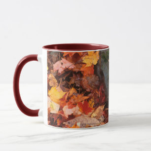 USA, Pennsylvania. Close-Up Of Forest Floor Mug
