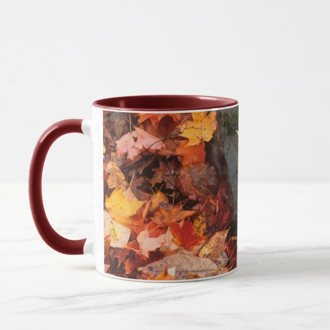 USA, Pennsylvania. Close-Up Of Forest Floor Mug (Left)