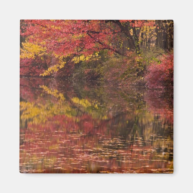 USA, Pennsylvania, Delaware Water Gap National Magnet (Front)