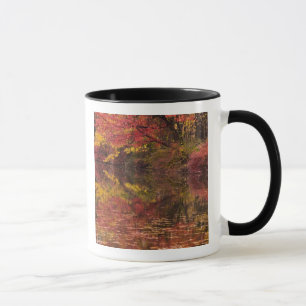 USA, Pennsylvania, Delaware Water Gap National Mug