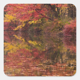 USA, Pennsylvania, Delaware Water Gap National Square Sticker