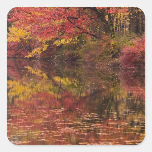 USA, Pennsylvania, Delaware Water Gap National Square Sticker