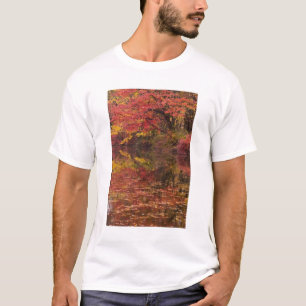 USA, Pennsylvania, Delaware Water Gap National T-Shirt