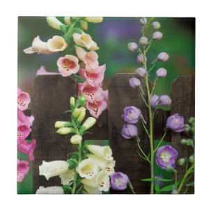 USA, Pennsylvania. Foxglove and delphinium Ceramic Tile