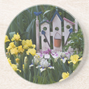 USA, Pennsylvania. Garden irises grow around Coaster