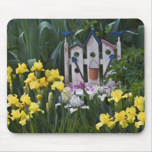 USA, Pennsylvania. Garden irises grow around Mouse Pad
