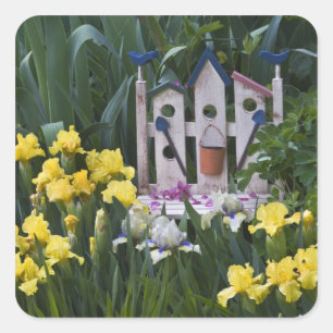 USA, Pennsylvania. Garden irises grow around Square Sticker