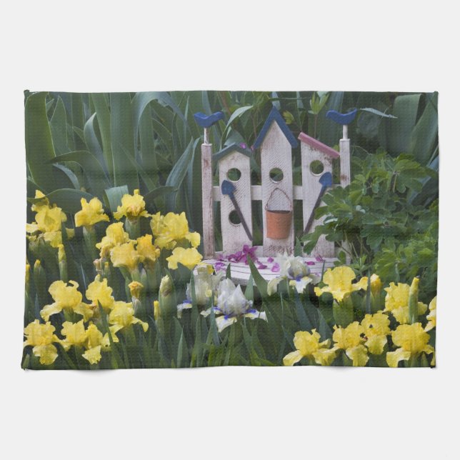 USA, Pennsylvania. Garden irises grow around Tea Towel (Horizontal)