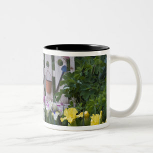 USA, Pennsylvania. Garden irises grow around Two-Tone Coffee Mug