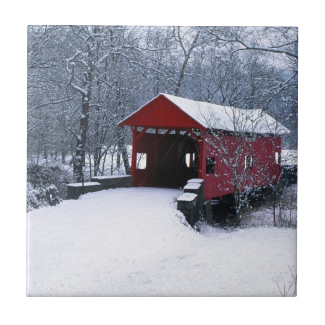 USA, Pennsylvania, Mariana County Ceramic Tile (Front)