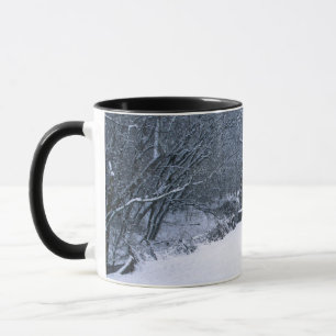 USA, Pennsylvania, Mariana County Mug