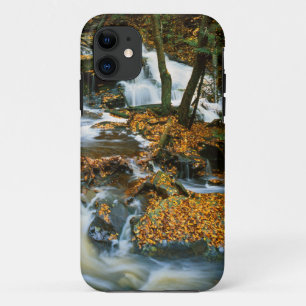 USA, Pennsylvania, Ricketts Glen State Park iPhone 11 Case