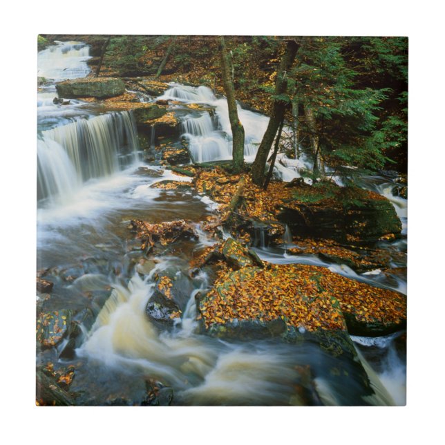USA, Pennsylvania, Ricketts Glen State Park Ceramic Tile (Front)