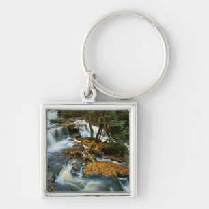 USA, Pennsylvania, Ricketts Glen State Park Key Ring