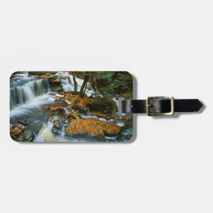 USA, Pennsylvania, Ricketts Glen State Park Luggage Tag