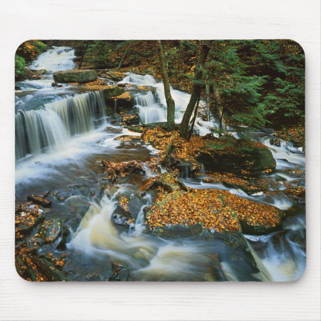 USA, Pennsylvania, Ricketts Glen State Park Mouse Pad (Front)