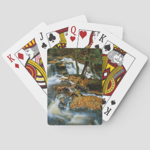 USA, Pennsylvania, Ricketts Glen State Park Playing Cards