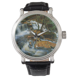 USA, Pennsylvania, Ricketts Glen State Park Watch