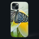 USA, Pennsylvania. Swallowtail butterfly iPhone 13 Case<br><div class="desc">USA,  Pennsylvania. Swallowtail butterfly on flower. Credit as: Nancy Rotenberg / Jaynes Gallery / DanitaDelimont.com | Jaynes Gallery / DanitaDelimont.com</div>