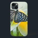 USA, Pennsylvania. Swallowtail butterfly iPhone 13 Case<br><div class="desc">USA,  Pennsylvania. Swallowtail butterfly on flower. Credit as: Nancy Rotenberg / Jaynes Gallery / DanitaDelimont.com | Jaynes Gallery / DanitaDelimont.com</div>