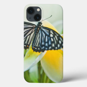 USA, Pennsylvania. Swallowtail butterfly iPhone 13 Case