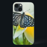 USA, Pennsylvania. Swallowtail butterfly iPhone 13 Case<br><div class="desc">USA,  Pennsylvania. Swallowtail butterfly on flower. Credit as: Nancy Rotenberg / Jaynes Gallery / DanitaDelimont.com | Jaynes Gallery / DanitaDelimont.com</div>