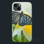 USA, Pennsylvania. Swallowtail butterfly iPhone 13 Case<br><div class="desc">USA,  Pennsylvania. Swallowtail butterfly on flower. Credit as: Nancy Rotenberg / Jaynes Gallery / DanitaDelimont.com | Jaynes Gallery / DanitaDelimont.com</div>