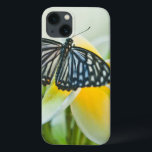 USA, Pennsylvania. Swallowtail butterfly iPhone 13 Case<br><div class="desc">USA,  Pennsylvania. Swallowtail butterfly on flower. Credit as: Nancy Rotenberg / Jaynes Gallery / DanitaDelimont.com | Jaynes Gallery / DanitaDelimont.com</div>
